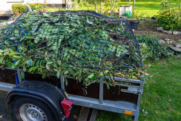 Best Electronics and E-Waste Disposal  in Bellerose, NY